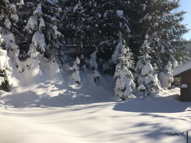 Gorski Kotar
